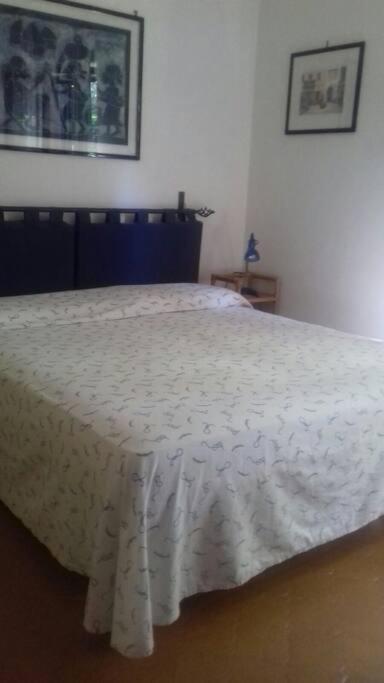 Grande Villa A 100 M. Dal Mare San Felice Circeo Ngoại thất bức ảnh