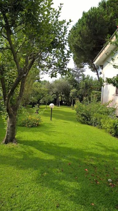 Grande Villa A 100 M. Dal Mare San Felice Circeo Ngoại thất bức ảnh