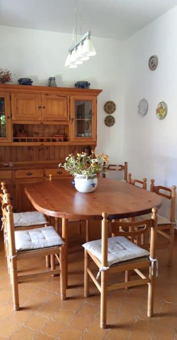 Grande Villa A 100 M. Dal Mare San Felice Circeo Ngoại thất bức ảnh