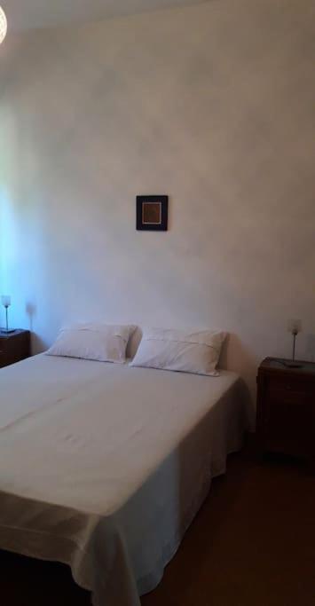 Grande Villa A 100 M. Dal Mare San Felice Circeo Ngoại thất bức ảnh