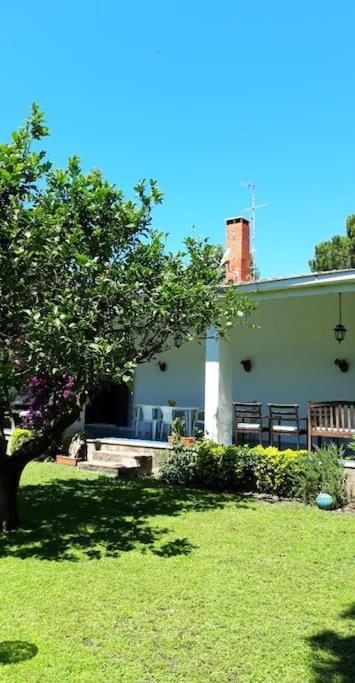 Grande Villa A 100 M. Dal Mare San Felice Circeo Ngoại thất bức ảnh
